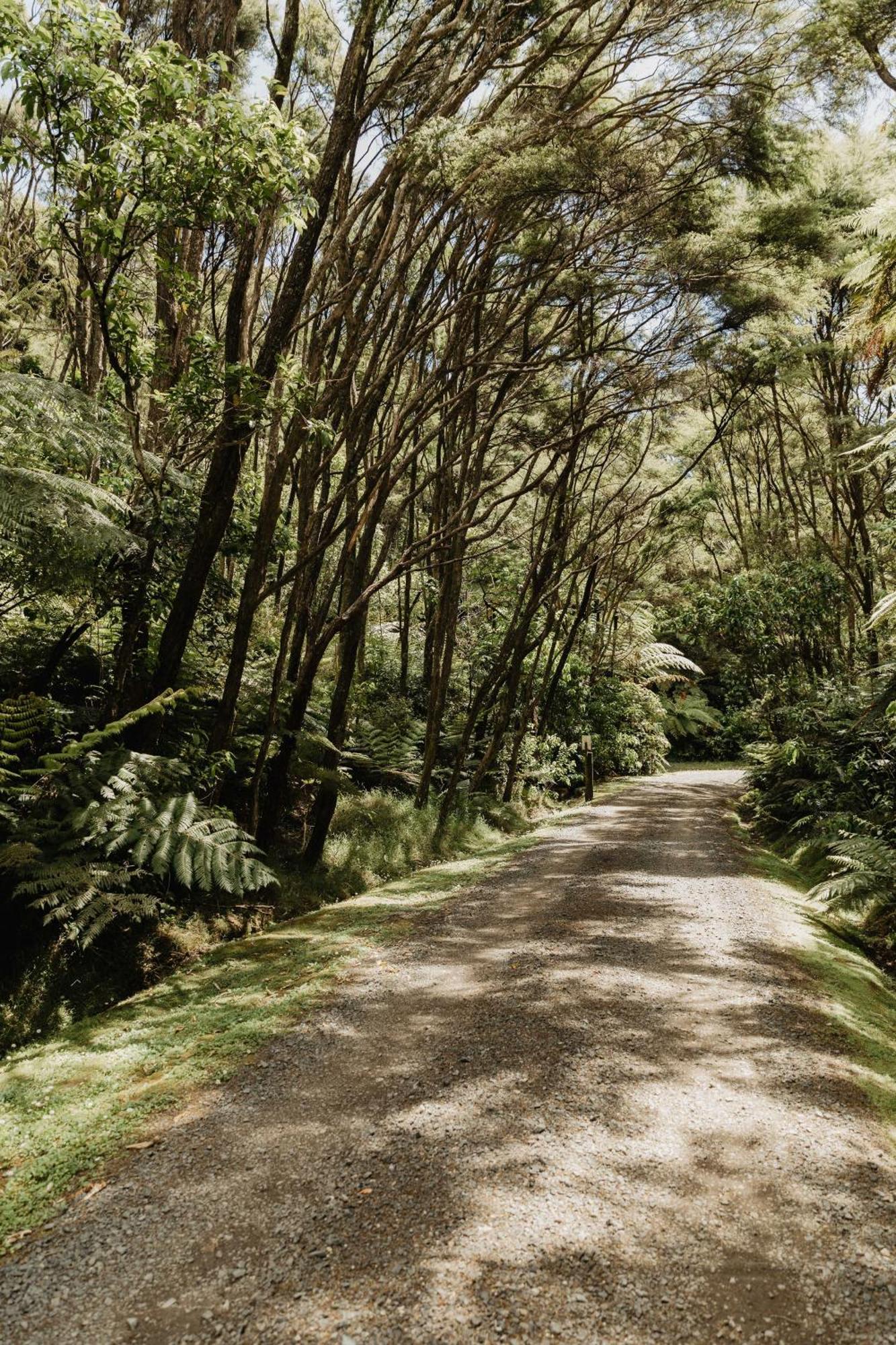 Buffalo Lodge Coromandel Εξωτερικό φωτογραφία