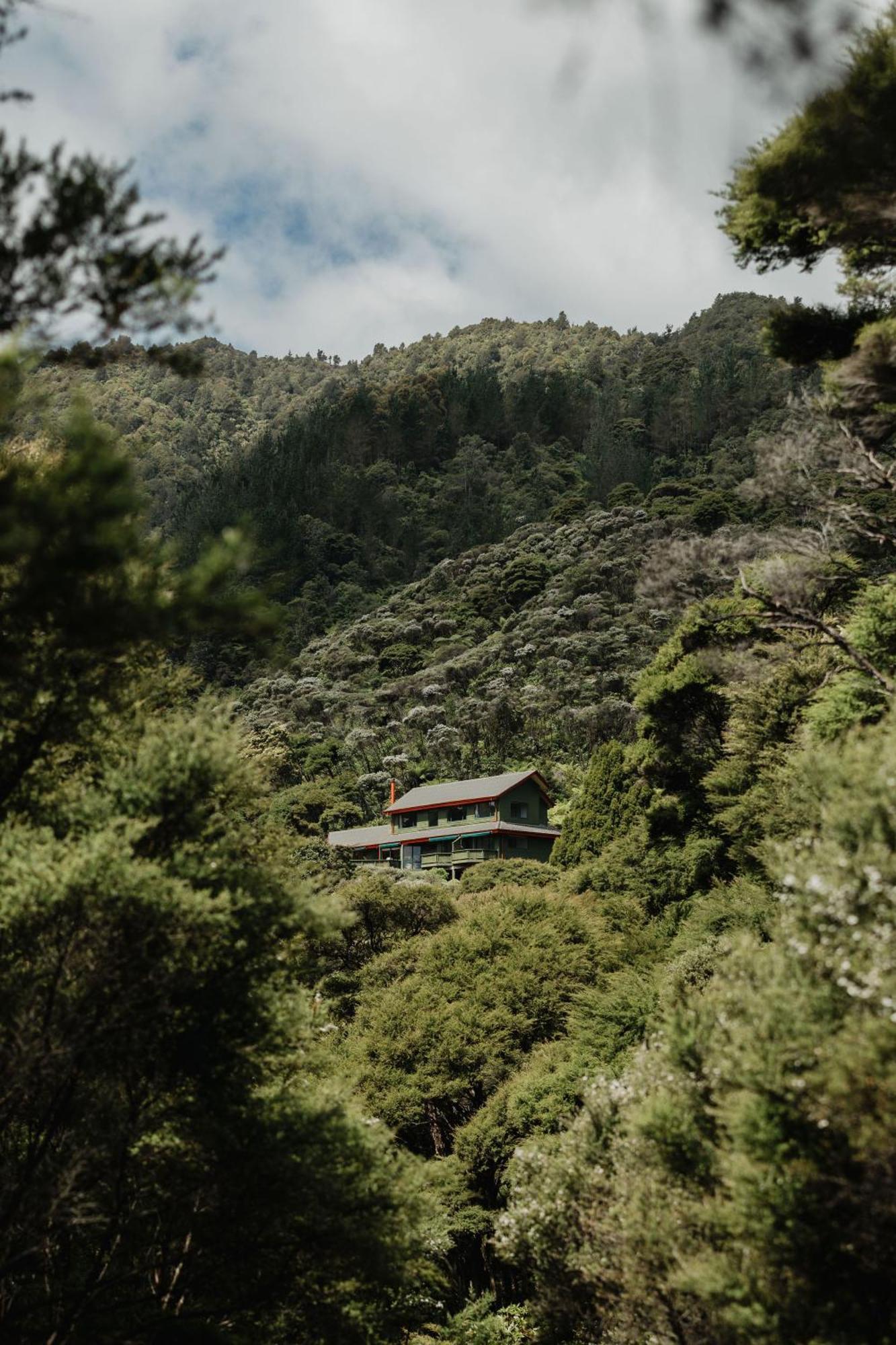 Buffalo Lodge Coromandel Εξωτερικό φωτογραφία