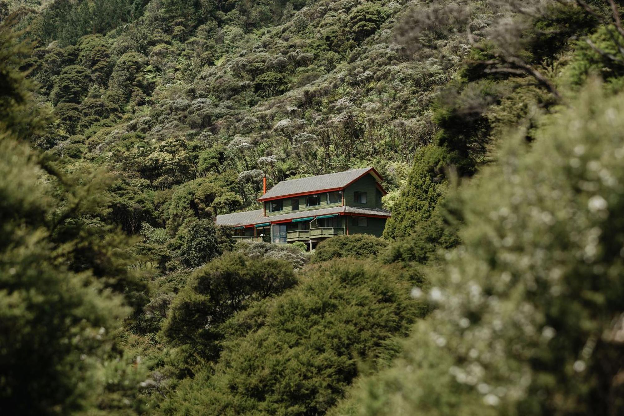 Buffalo Lodge Coromandel Εξωτερικό φωτογραφία